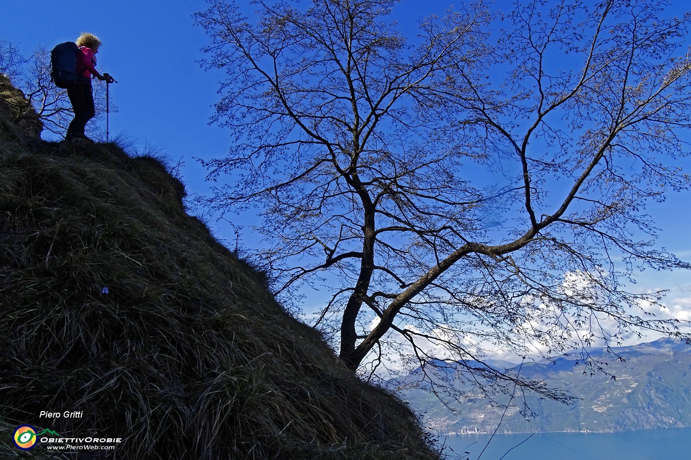 42 Sul cocuzzolo della montgna....JPG -                                